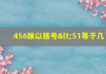 456除以括号<51等于几